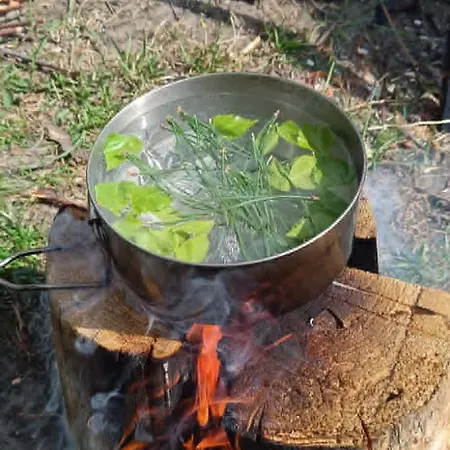 Siedlisko Stasin